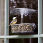 Observer Window Bird Feeder – Droll Yankees – 2 Cups
